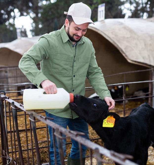 Pokalas Dairy