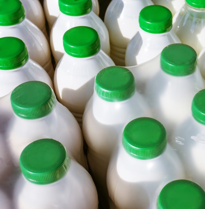 Pokalas Dairy